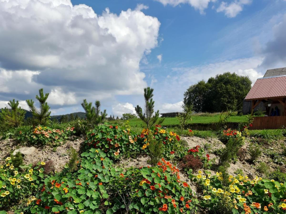 Villa Омріяні Карпати à Smozhe Extérieur photo