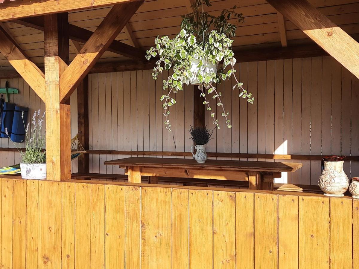 Villa Омріяні Карпати à Smozhe Extérieur photo