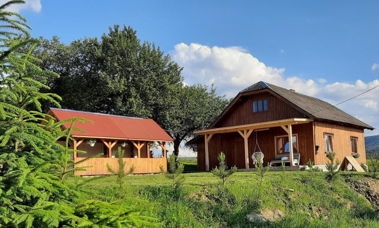 Villa Омріяні Карпати à Smozhe Extérieur photo