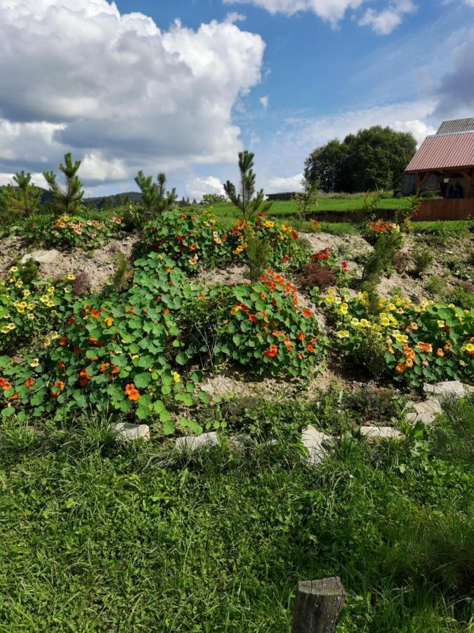 Villa Омріяні Карпати à Smozhe Extérieur photo