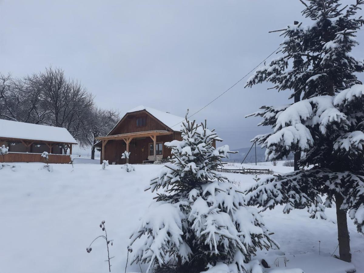 Villa Омріяні Карпати à Smozhe Extérieur photo
